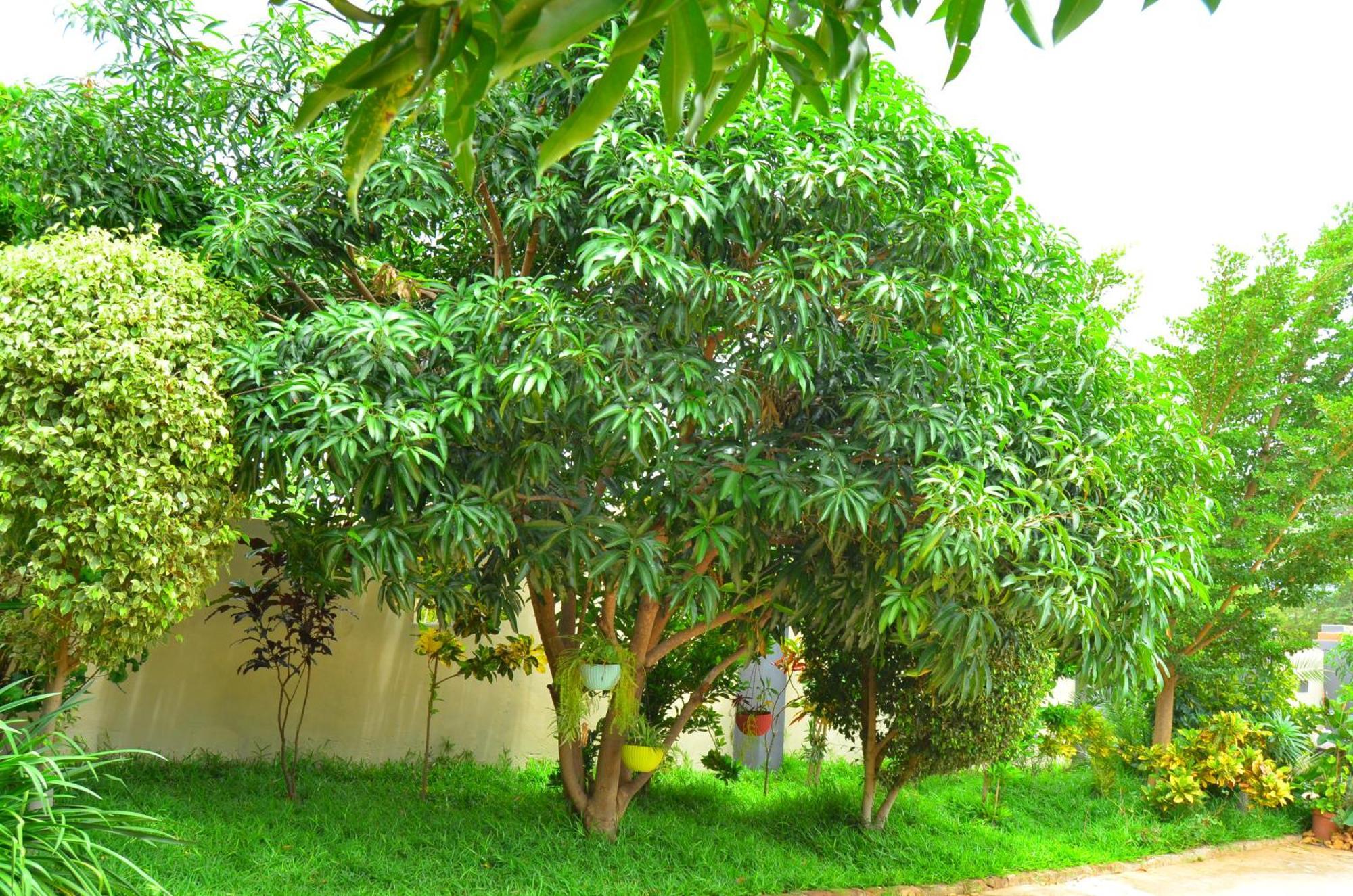 Chobe Kulotu Guest House Kasane Exterior photo